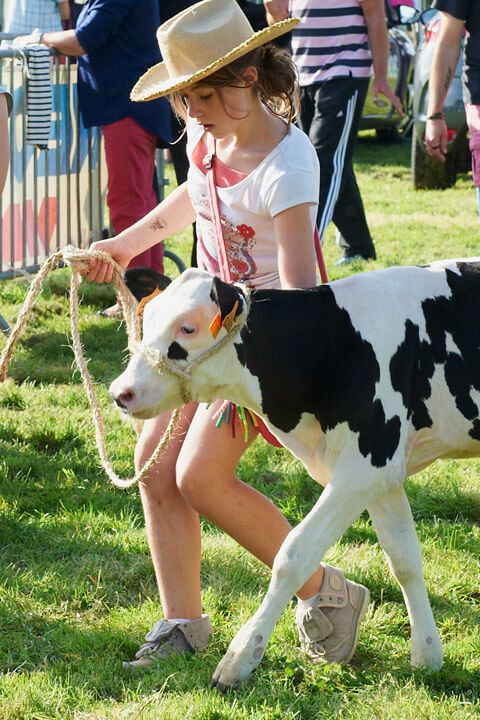 Photo reportage, comice agricole