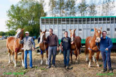 Photo reportage, comice agricole