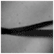 Photo de femme enceinte